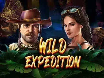 Wilderbet Casino screenshot